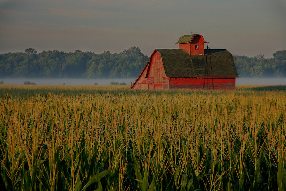 farm and crop insurance Carthage TX
