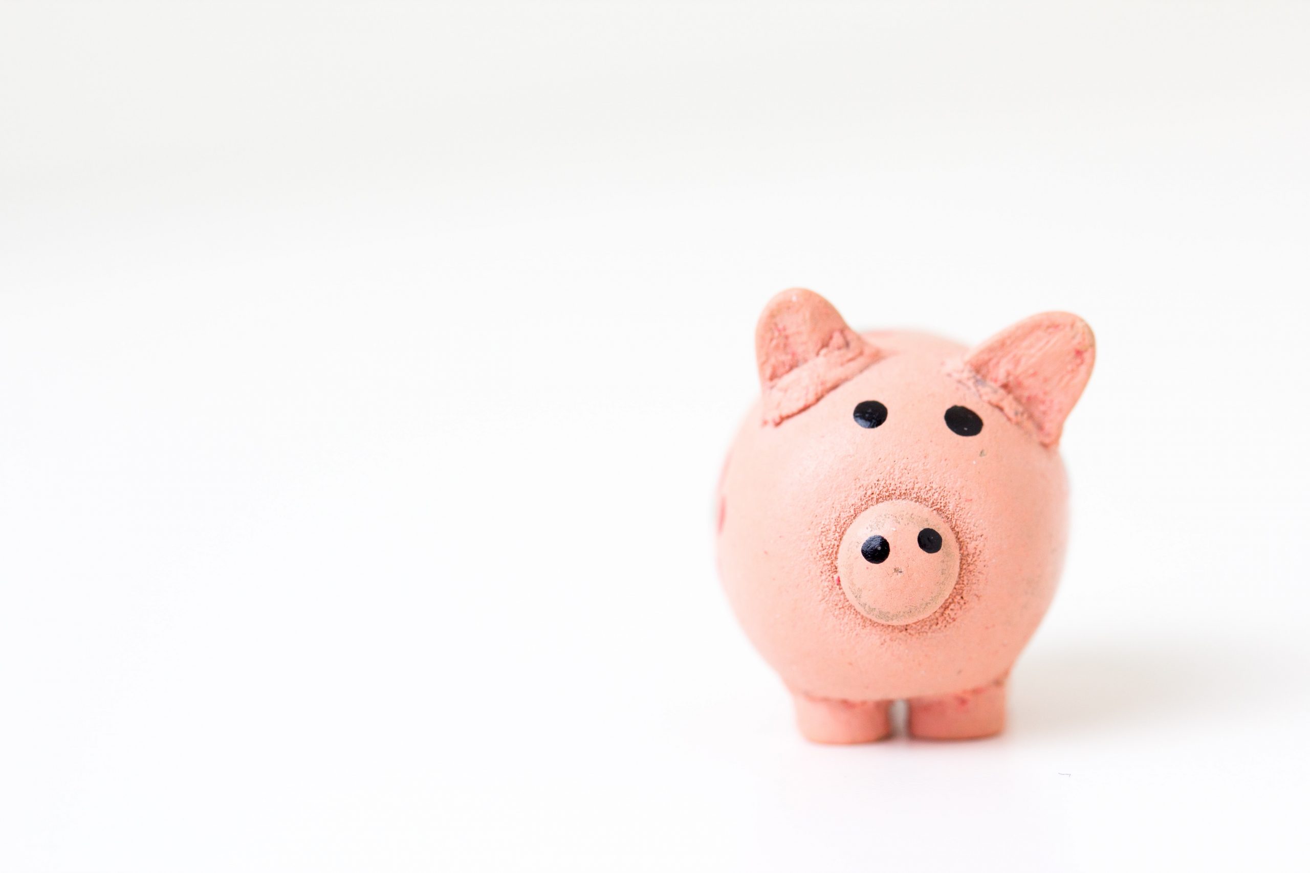 piggy bank money